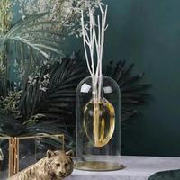 Diffuseur de parfum en verre à double paroi transparent personnalisé, huile essentielle d'aromathérapie, bâtonnets d'encens, pot en verre avec fruit étoilé à l'intérieur