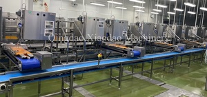 Công suất cao PND ezp pdto vannamei argentine Đỏ tôm lột và deveining máy cho hải sản các công ty - Product Image 4