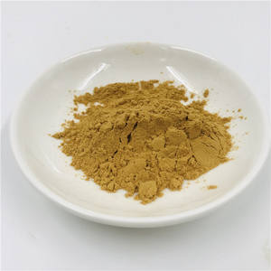 สารสกัดจากใบบริสุทธิ์เกรดอาหาร10:1 100:1ผงสำหรับขาย - Product Image 2