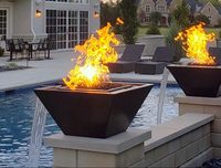 Brasero au propane pour jardin, brasero aquatique en acier inoxydable noir pour piscine