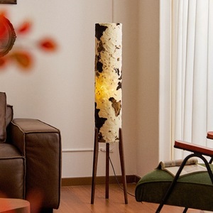 Vintage <b>Floor</b> Lamp Chinese Design Song Dynasty Aesthetics Retro Atmosphere Standing Lamp For Living Room <b>Sofa</b> Area LED Light - Product Image 1