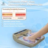Appareil de soin bio-énergétique Terahertz Olylife P90 P100 personnalisable OEM/ODM