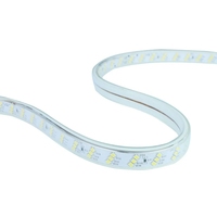 Lampe à LED en corde PVC étanche IP65 220V SMD2835 120LED/M 180LED/M 50M/ROULEAU pour l'éclairage paysager extérieur