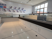 Mini-congélateur commercial compact à refroidissement par air avec contrôle numérique de la température pour la vente de glaces et de bâtonnets glacés