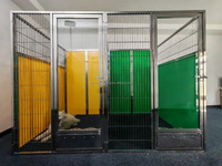 Luxe klassieke roestvrijstalen 304 guillotine-deur hondenkennel voor dierenopvang en hondendagverblijven