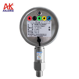 Manomètre numérique AILEIKE ALKC400E Précision 0,02%FS 1000 <span class=keywords><strong>Bar</strong></span> Communication RS485 (MODBUS-RTU) <span class=keywords><strong>Conversion</strong></span> multi-unités Air - Product Image 6