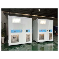 Kiosque commercial de vente de glaçons 180-450 kg par jour, paiement en espèces, cartes de crédit et jetons, avec ensachage automatique et distribution en vrac