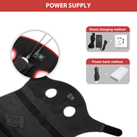 Boyuan Animal Photonic 660nm 850nm Thérapie par la lumière rouge et infrarouge Cou Pad pour le soulagement de la douleur du cheval Led Casque