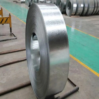 Hot Dipped Galvanized Steel Strip 40-275g Supply 5000T/Month Cold Rolled Galvanized Steel Strip Slit Coil Width 20-600mm Export