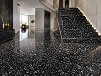 Dalles de marbre noir Seashells avec motif fossile pour îlots de cuisine, plans de travail, tables à manger, revêtements de sol et grands panneaux muraux