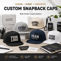 Prix d'usine Casquette de baseball brodée 3D à bord plat pour homme Casquette ajustée avec logo personnalisé Casquette à 5 panneaux Casquettes