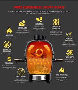 Kit de rôtissoire électrique pour fêtes en plein air, barbecue rotatif manuel en fer pour poulet, gril à charbon de bois - Product Image 3