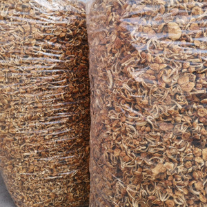 Hongo Dorado <span class=keywords><strong>de</strong></span> Toscana Seco, Cultivado Naturalmente, Comestible, <span class=keywords><strong>de</strong></span> Grado Alimenticio - Product Image 6