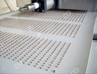 Dépôt de puces de chocolat à prix usine, ligne de Production, Machine à gouttes de chocolat