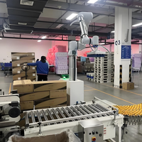 Robot palettiseur automatique collaboratif Machine à empiler Cobot Carton Case Bag Palettizer PLC Discount Price Robot Stacker Food