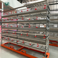 Équipement d'élevage de cailles, cages à cailles en métal de type H, système d'alimentation automatique, à vendre