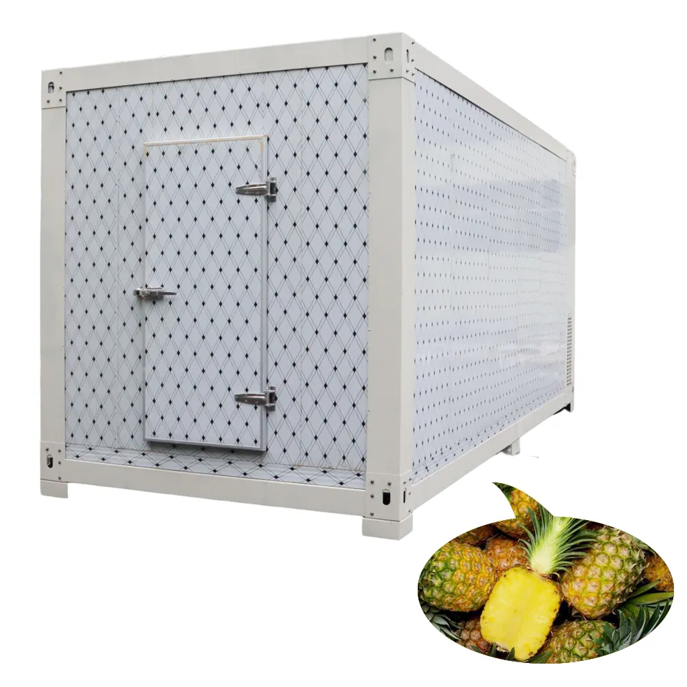 20ft Mobile Container Quick-freezing Cold Store Freezer Room Cold Room For Fish Meat