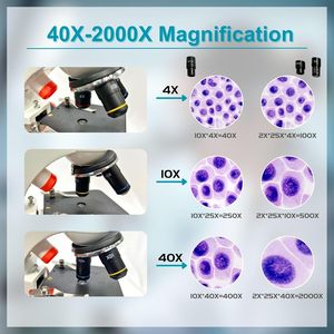 MicroMarvels メタルボディ複合顕微鏡モデル XT 113 学生用 40X-2000X デュアル LED ライト生物学的ホームスクールラボ Type-C - Product Image 3