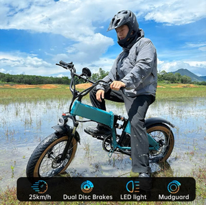 Vélo <span class=keywords><strong>électrique</strong></span> pliable à prix avantageux, 250W, 20 pouces, 36V, 13AH, 7 vitesses, pneus larges, vélo de montagne <span class=keywords><strong>électrique</strong></span> pour adultes - Product Image 2