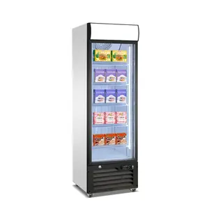 Dondurucu tek kapı ticari dikey dondurma ekran buzdolabı