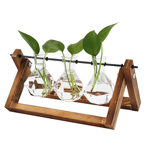 Terrario de Escritorio para Plantas Aéreas con Base de Madera Sólida y Florero de Vidrio para Propagación de Plantas - Product Image 1