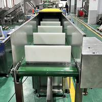 Horizontale Netzbeutel-Verpackungsmaschine für Knoblauch, Zwiebeln und Kartoffeln mit Klemm- und Etikettierfunktion