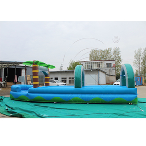 Tobogán Inflable Personalizado para Piscina, Material de PVC, Diseño de Palmera, Tobogán Acuático Inflable para Fiestas en el Patio Trasero - Product Image 5