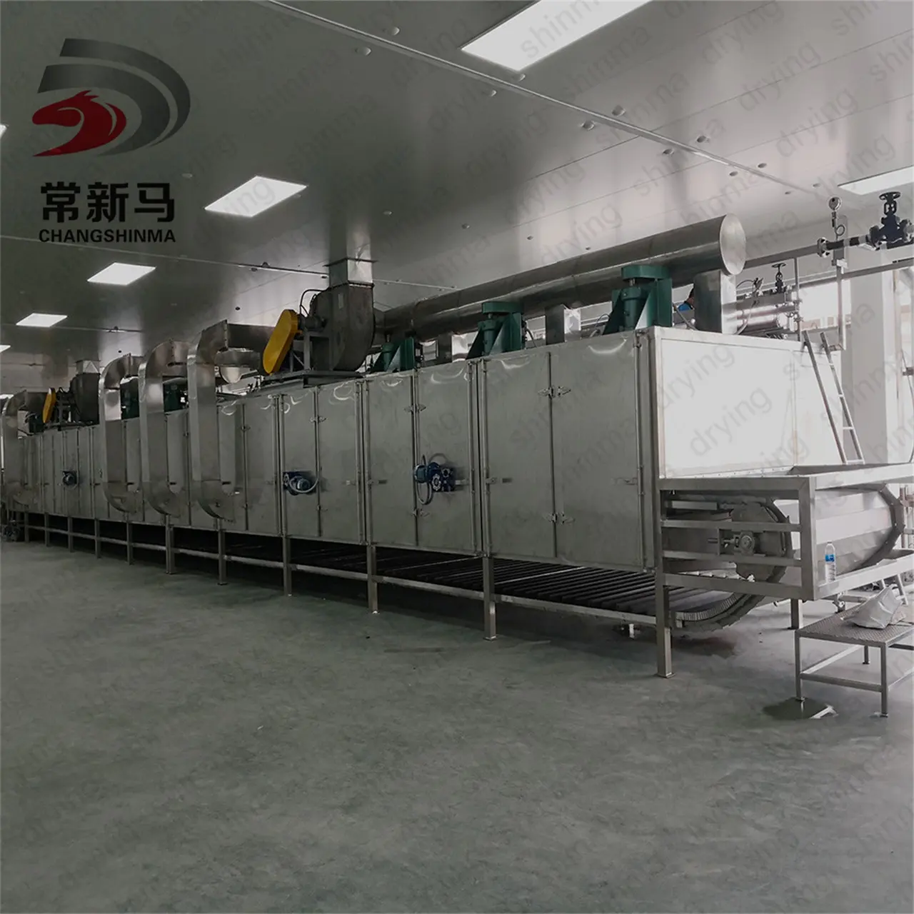 Conveyor Dryer DW Coconut Meat/shredded Coconut Continuous Conveyor Mesh Belt Dryer