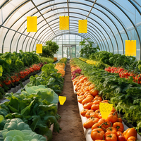 Bescherm binnenplanten tegen schimmelnacht en fruitvlieg. MSDS gecertificeerd OEM fabriek groothandel aangepaste logo gele kleefval.