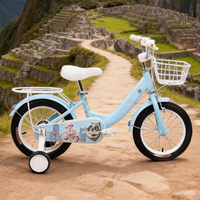 Vélos pour petites filles Hebei HyPod, prix de gros, 18 pouces, magnifiques vélos pour bébés, cycles pour enfants