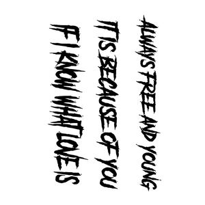 Tatouages de Bras Temporaires Imperméables Semi-Permanents de Haute Qualité, Autocollants Durables et Réalistes, Garantie Qualité - Product Image 6