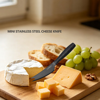Couteau à fromage miniature en acier inoxydable portable Junqin avec revêtement en titane noir - Multifonctionnel, durable, écologique et compatible lave-vaisselle