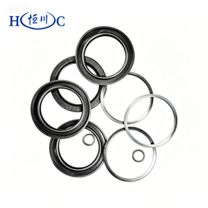 Kit <span class=keywords><strong>di</strong></span> Guarnizioni per Cilindri Idraulici Professionali per Pale Gommate Liugong SDLG - Ricambi per Riparazione - Product Image 2