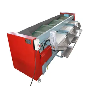 Large capacity 3 grades automatic coffee beans cherry grading raspberry size grader blueberry blueberry sorting machine