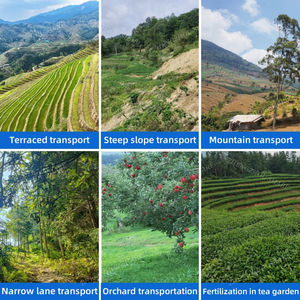 תחבורה גבעה באיכות גבוהה מונורייל, טרנספורטר מונורייל, במפעל - Product Image 6