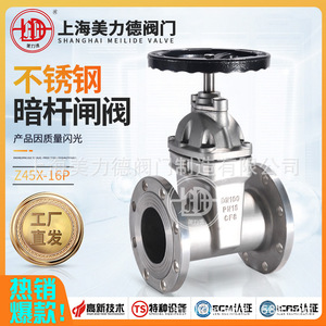Stainless Steel Flanged Soft <b>Seal</b> Rising Stem Gate Valve Z45X-16P For Water Manual Operation - Product Image 2