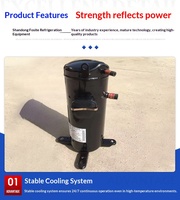 Nuevo Compresor Scroll de Latón Metálico Frast C-SBN303H8G R407c 220V/380-415V 50Hz 30kg para Sistemas de Refrigeración y Aire Acondicionado