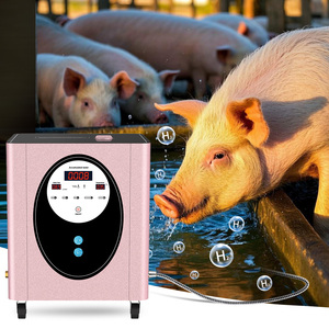 Suyzeko OEM machine à eau <span class=keywords><strong>pour</strong></span> bain d'hydrogène nano micro générateur de barboteur générateur d'hydrogène <span class=keywords><strong>pour</strong></span> bain de <span class=keywords><strong>spa</strong></span> <span class=keywords><strong>pour</strong></span> peau lisse - Product Image 6
