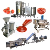 Grande ligne de production industrielle de pâte de tomate Mini usine complète de traitement de pâte de tomate concentrée industrielle