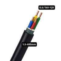 Câble d'alimentation en cuivre gainé de PVC isolé de PVC 2x10mm 2x16mm 3x35mm Câble électrique basse tension