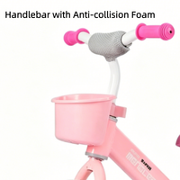 Bicicleta de Equilibrio para Niños con Logotipo Personalizado, Color Rosa y Blanco, con Canasta de Almacenamiento, Asiento Ajustable, Marco de Acero, Suministro al por Mayor