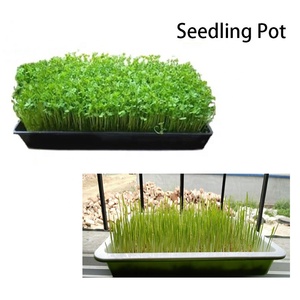 Plateau <span class=keywords><strong>de</strong></span> germination hydroponique micro-verdure 1020, plateau <span class=keywords><strong>de</strong></span> plantation <span class=keywords><strong>en</strong></span> <span class=keywords><strong>plastique</strong></span> réutilisable noir pour semis, utilisation <span class=keywords><strong>en</strong></span> jardin - Product Image 5