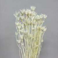 Meerkleurige eeuwigdurende decoratieve Nigella steranijs bloemenboeket handgemaakt, langdurig (3-5 jaar), passend bij Moederdag