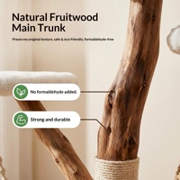 Arbre à chat en bois massif avec panier en rotin tressé et griffoir en sisal, tour minimaliste pour chat avec lit suspendu pour chats d'intérieur