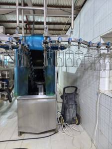 آلة متكاملة أوتوماتيكية بالكامل لسلق وتجريد الدجاج والبط والإوز والدواجن - Product Image 5