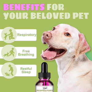 犬用天然ハーブドロップ-犬小屋咳止め免疫サポートビタミン-マシュマロルートムレインリーフ-ベーコンフレーバー-すべての品種 - Product Image 3