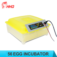 Incubateur automatique à double alimentation, contrôle automatique de la température, incubateur à œufs entièrement automatique, 56 œufs