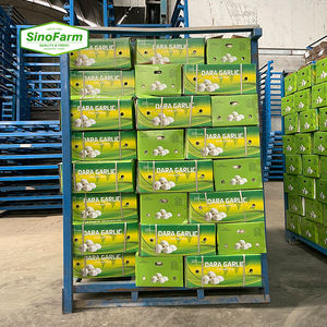 Semi d'<span class=keywords><strong>Aglio</strong></span> con Prezzo dell'<span class=keywords><strong>Aglio</strong></span> 1 Tonnellata in Cina Non <span class=keywords><strong>Olio</strong></span> d'<span class=keywords><strong>Aglio</strong></span> - Product Image 5