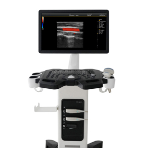 Échographe vétérinaire Doppler couleur à deux sondes de haute qualité Dawei Ultrasound DW-F3 pour hôpital vétérinaire - Product Image 1