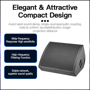 단일 야외 공연용 모니터 스피커 RGB LED 조명 IPX5 방수 DC 전원 홈 시어터용 - Product Image 2